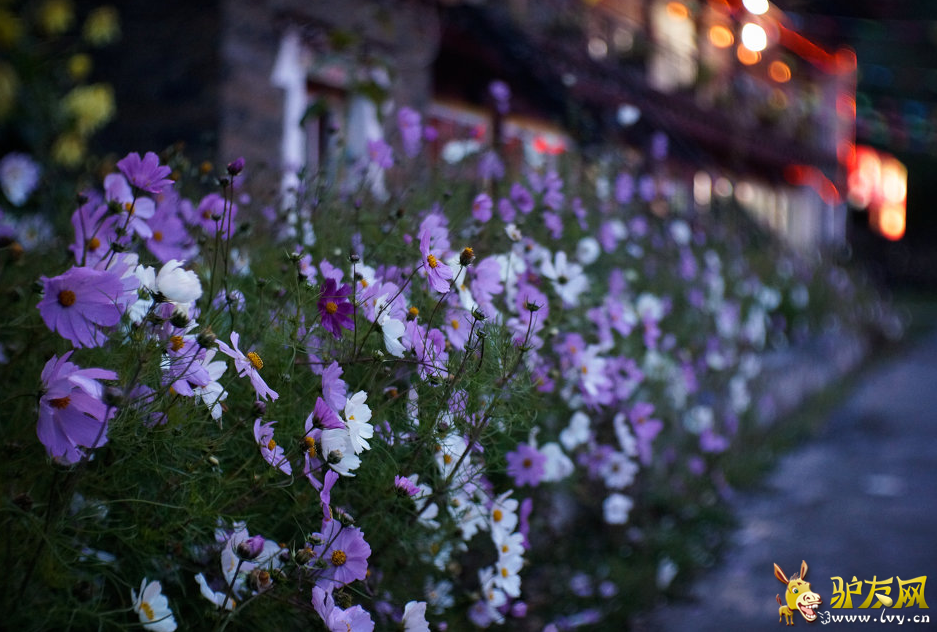 QQ��ͼ20150116125826.png