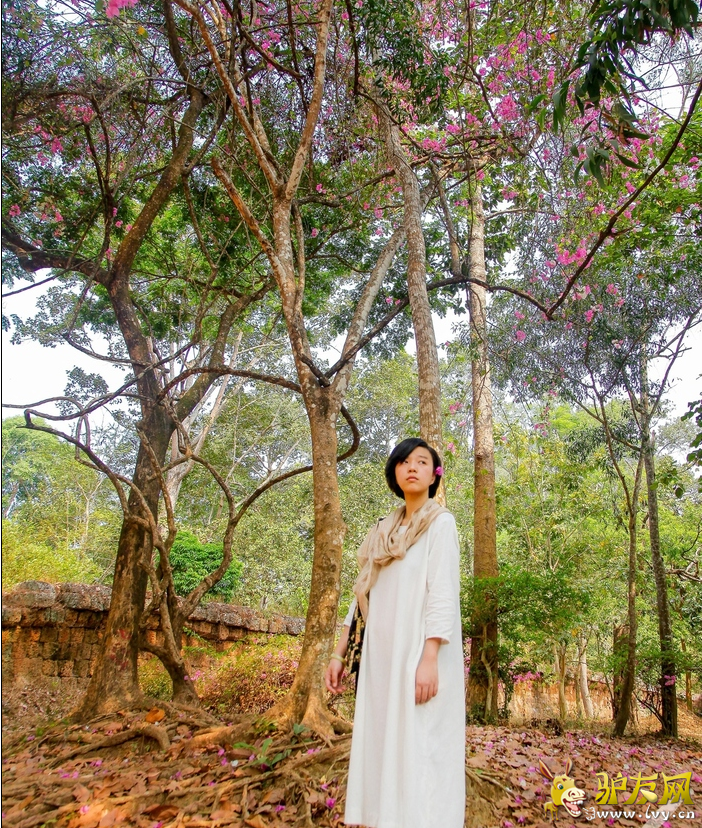 QQ��ͼ20160422140501.png